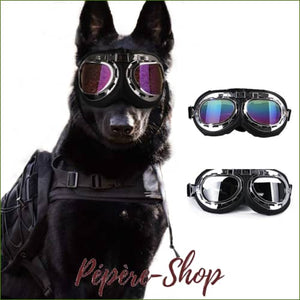Lunettes aviateur design pour animal de compagnie/