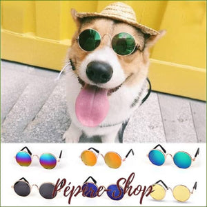 Lunettes de soleil rondes pour petit chien/