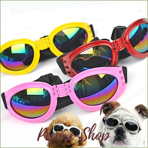 Lunettes pliables et ajustable pour la protection oculaire d'un petit chien/