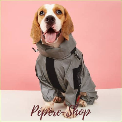 Manteau Pour Beagle - Imperméable 4 Pattes Impermeable