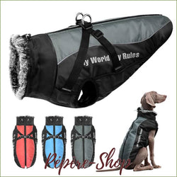 Manteau pour labrador imperméable avec harnais intégré - -PEPERE SHOP