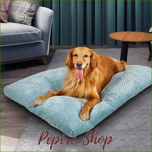 Matelas Épais Pour Chien Jusquà 30Kg - Déhoussable -  
