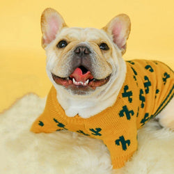 Pull pour chien carlin
