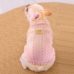 Tricot pour chien en laine