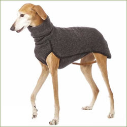 Gris Foncé / 5Xl