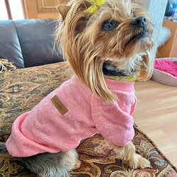 pull pour chien