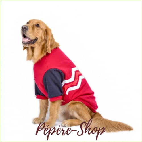 Sweat Grand Chien Automne Et Hiver