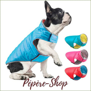 Veste imperméable manches courtes pour Bouledogue Français, pensée pour la pluie/